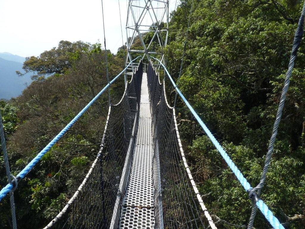 10 Days Rwanda Adventure β photo 6