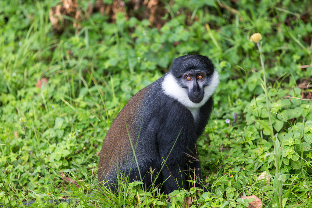 10 Days Rwanda Adventure β photo 7