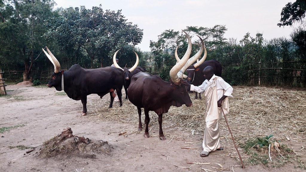 10 Days Rwanda Adventure β photo 9