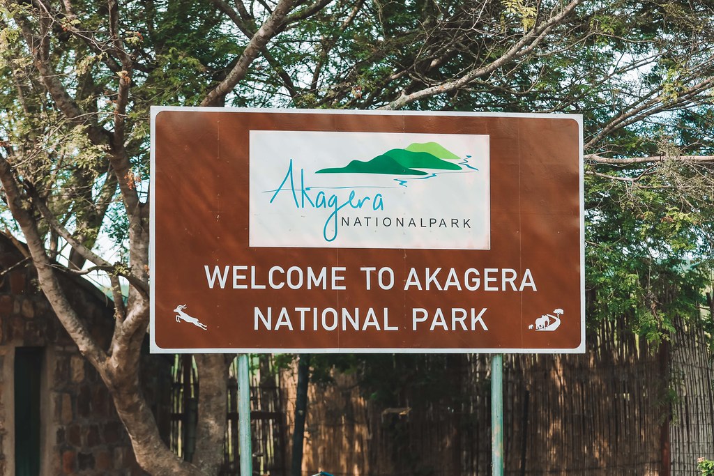 1 Day Akagera National Park Safari — 1-day safari in Rwanda: Full-day game drive in Rwanda's only Big Five savannah park, just hours from Kigali.