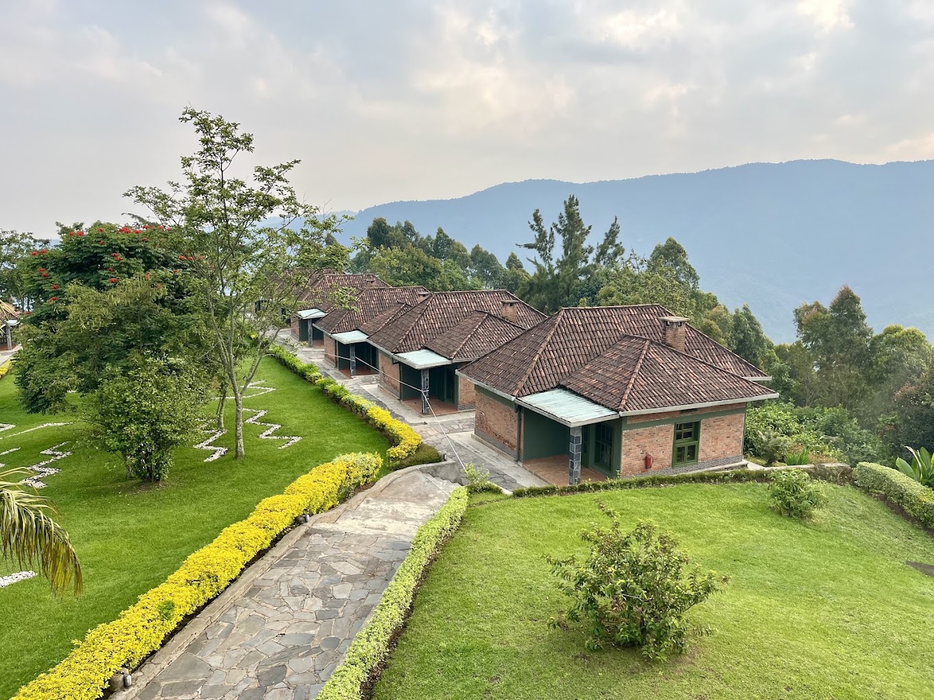 10 Days Rwanda Adventure β Day 9: Chimpanzee tracking